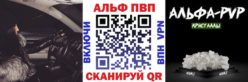 A PVP СК  Заволжье 