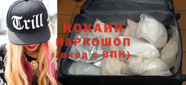 меф Дмитриев
