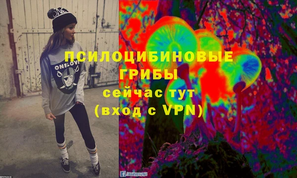 меф Дмитриев