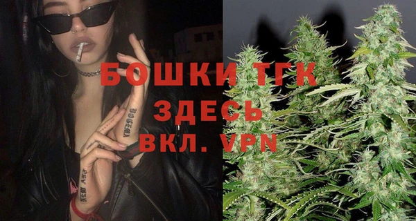 меф Дмитриев