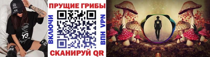 площадка Telegram  Заволжье  Галлюциногенные грибы мухоморы 